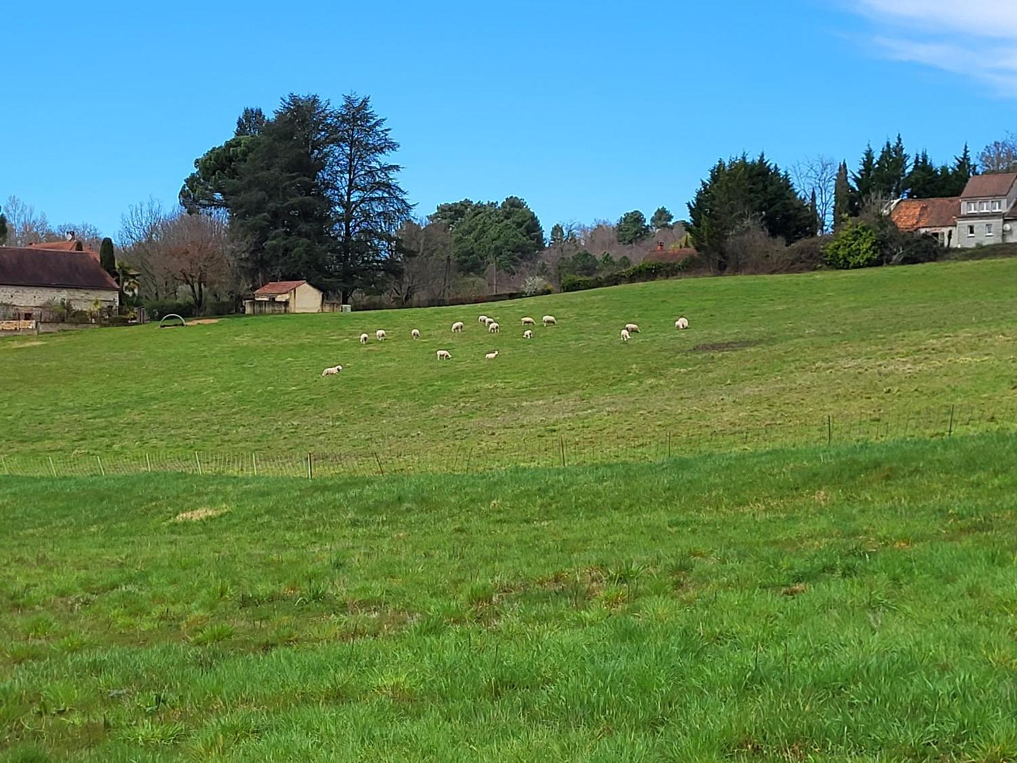La Grange Du Chateau Boissieres  Exteriér fotografie